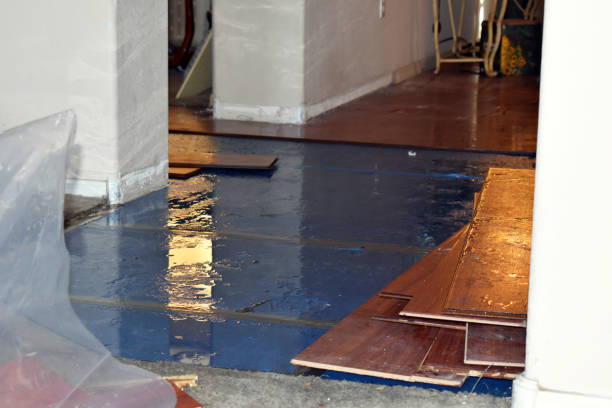 Professional Sewage Cleanup technician working in Swans Island, ME